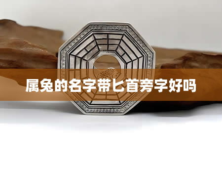 属兔的名字带匕首旁字好吗
