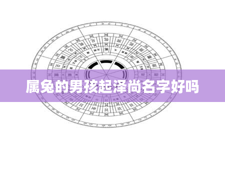 属兔的男孩起泽尚名字好吗