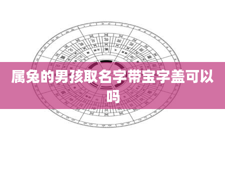 属兔的男孩取名字带宝字盖可以吗