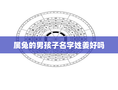 属兔的男孩子名字姓姜好吗