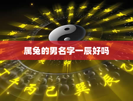 属兔的男名字一辰好吗