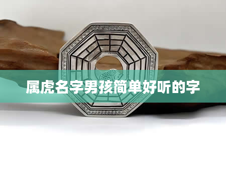 属虎名字男孩简单好听的字