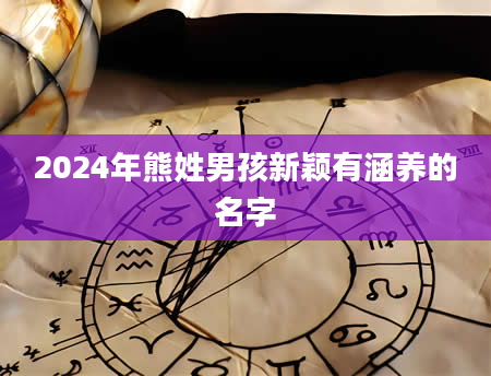 2024年熊姓男孩新颖有涵养的名字