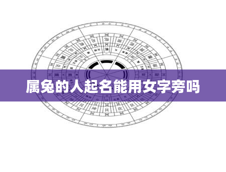属兔的人起名能用女字旁吗