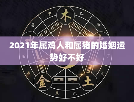 2021年属鸡人和属猪的婚姻运势好不好