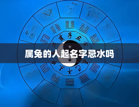 属兔的人起名字忌水吗