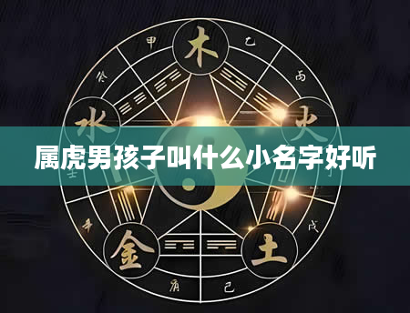 属虎男孩子叫什么小名字好听