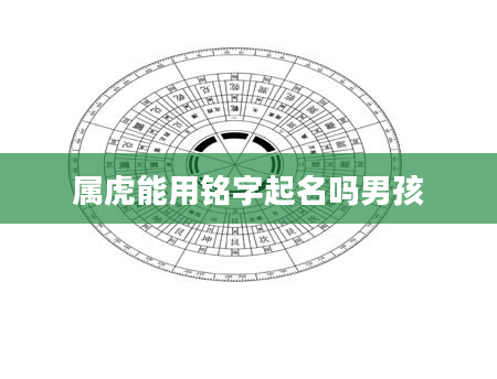 属虎能用铭字起名吗男孩