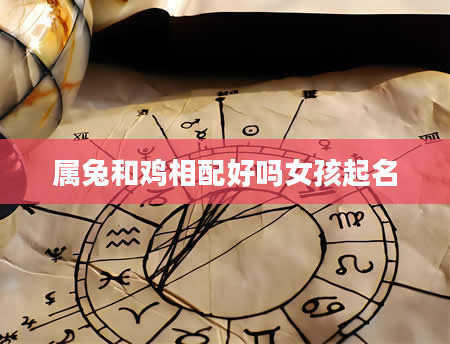 属兔和鸡相配好吗女孩起名