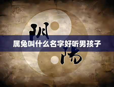 属兔叫什么名字好听男孩子