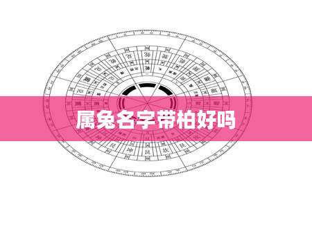属兔名字带柏好吗