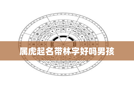 属虎起名带林字好吗男孩
