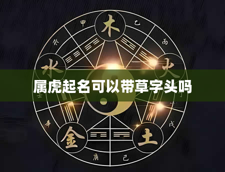 属虎起名可以带草字头吗