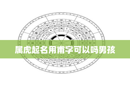 属虎起名用甫字可以吗男孩