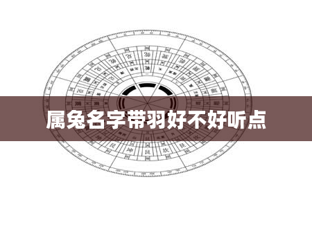 属兔名字带羽好不好听点