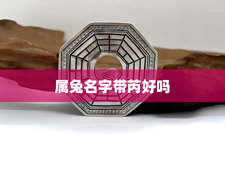 属兔名字带芮好吗
