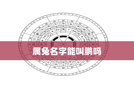 属兔名字能叫鹏吗