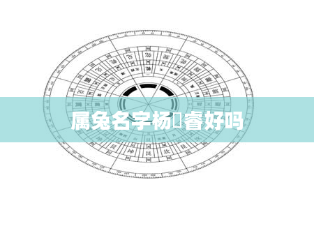 属兔名字杨洺睿好吗
