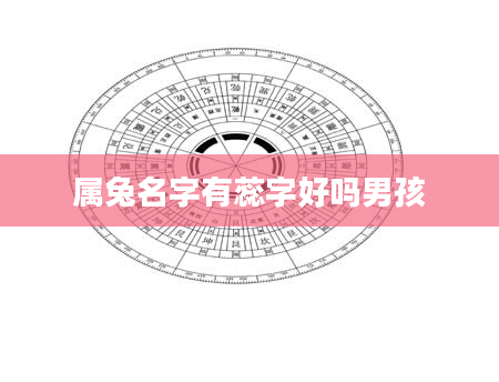 属兔名字有蕊字好吗男孩