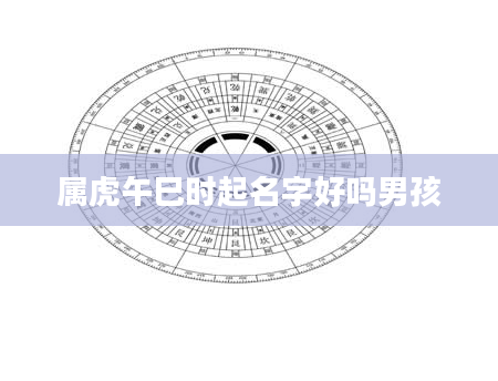 属虎午巳时起名字好吗男孩