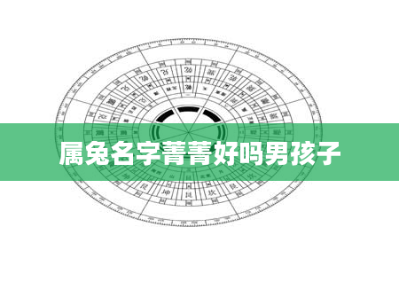 属兔名字菁菁好吗男孩子