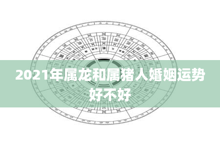 2021年属龙和属猪人婚姻运势好不好