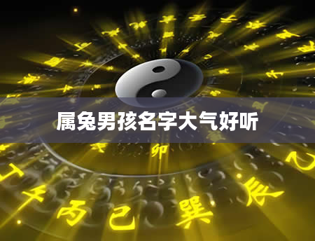 属兔男孩名字大气好听