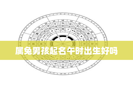 属兔男孩起名午时出生好吗