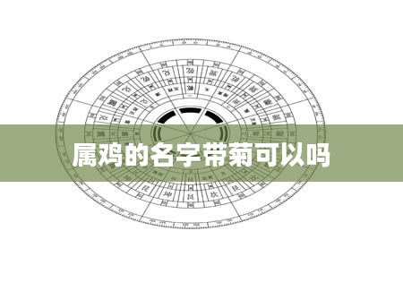 属鸡的名字带菊可以吗