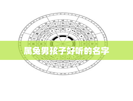 属兔男孩子好听的名字