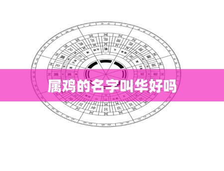 属鸡的名字叫华好吗
