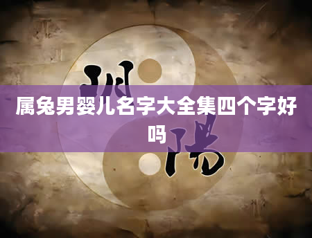 属兔男婴儿名字大全集四个字好吗