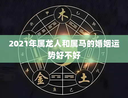 2021年属龙人和属马的婚姻运势好不好