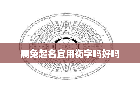 属兔起名宜用衡字吗好吗
