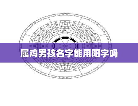 属鸡男孩名字能用阳字吗