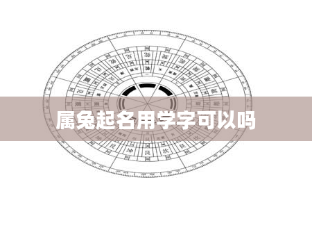 属兔起名用学字可以吗
