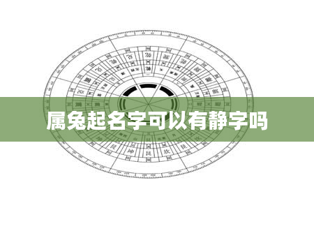 属兔起名字可以有静字吗