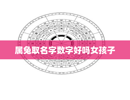 属兔取名字数字好吗女孩子