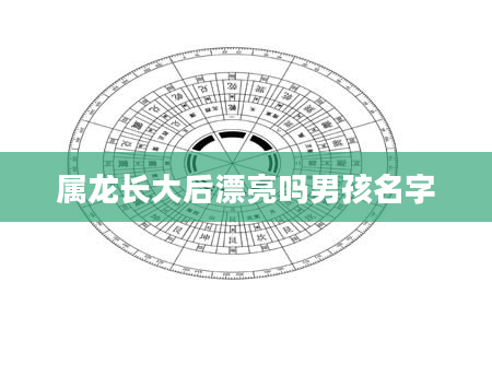 属龙长大后漂亮吗男孩名字