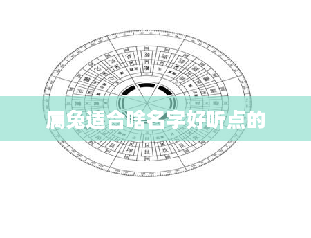 属兔适合啥名字好听点的