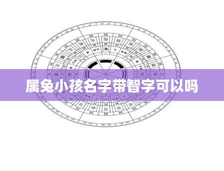 属兔小孩名字带智字可以吗