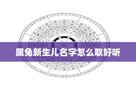 属兔新生儿名字怎么取好听