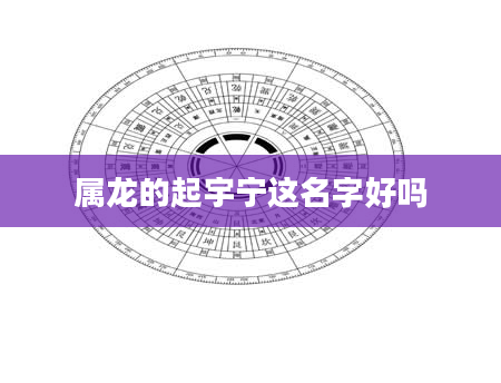属龙的起宇宁这名字好吗