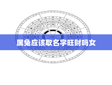 属兔应该取名字旺财吗女