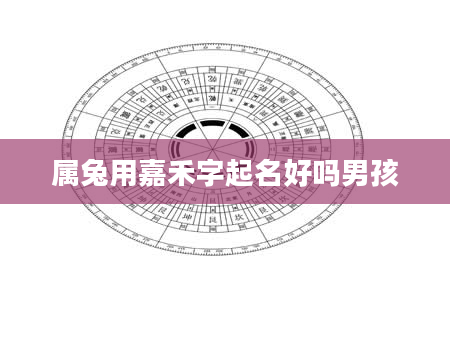 属兔用嘉禾字起名好吗男孩