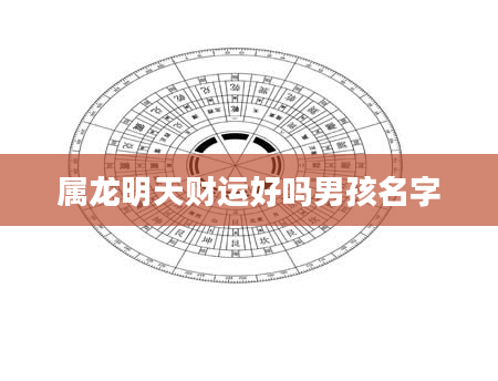 属龙明天财运好吗男孩名字