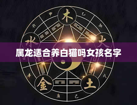 属龙适合养白猫吗女孩名字