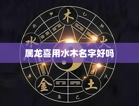 属龙喜用水木名字好吗
