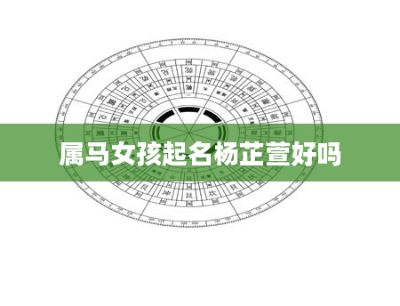 属马女孩起名杨芷萱好吗