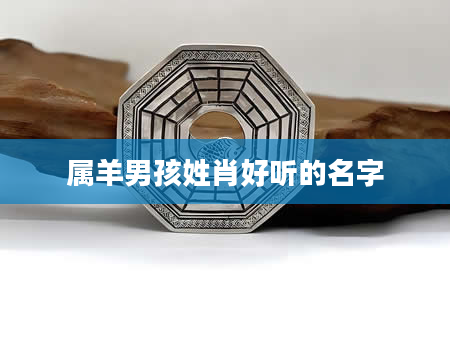 属羊男孩姓肖好听的名字